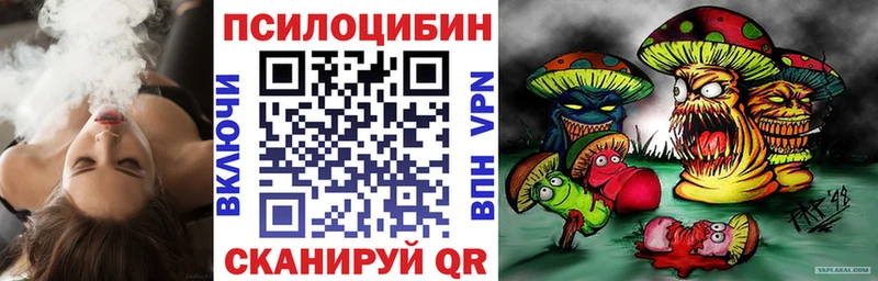 Галлюциногенные грибы Psilocybe  Губаха 