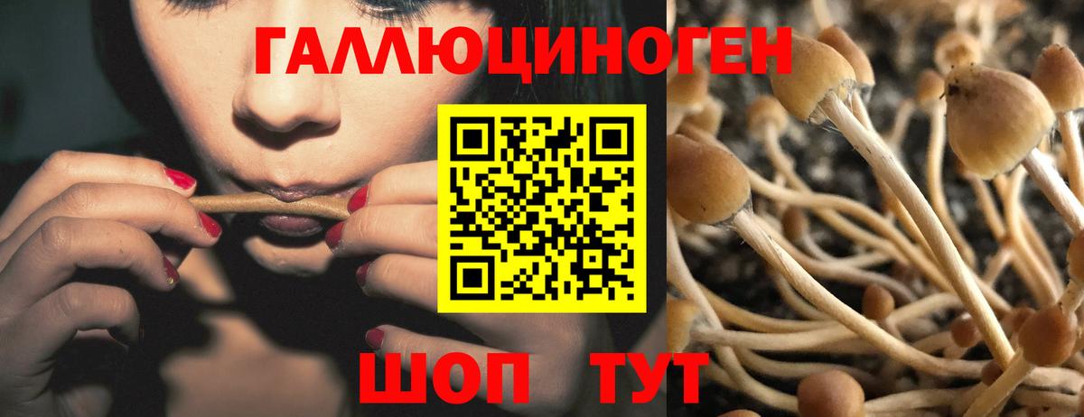 Псилоцибиновые грибы мицелий  Вход с VPN  Губаха 