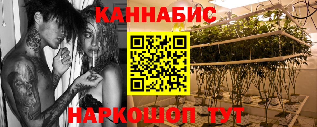 Конопля марихуана Губаха